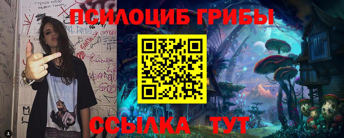 Псилоцибиновые грибы ЛСД  Вход с VPN  Качканар 