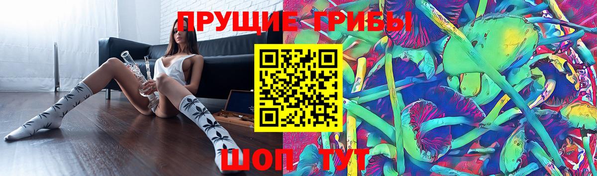 Псилоцибиновые грибы GOLDEN TEACHER Качканар